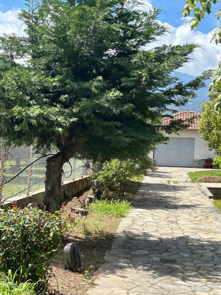 Zeusplace Karia Villa Natura Leptokaryá Exterior foto